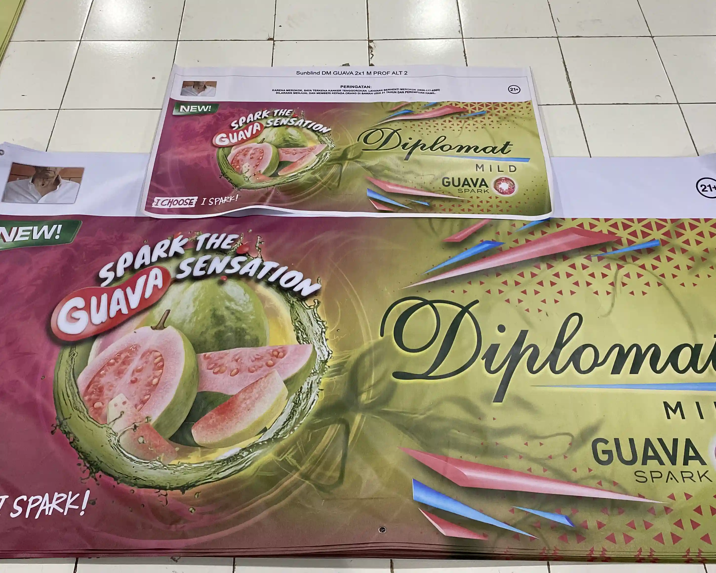 Diplomat Guava - Sunblind